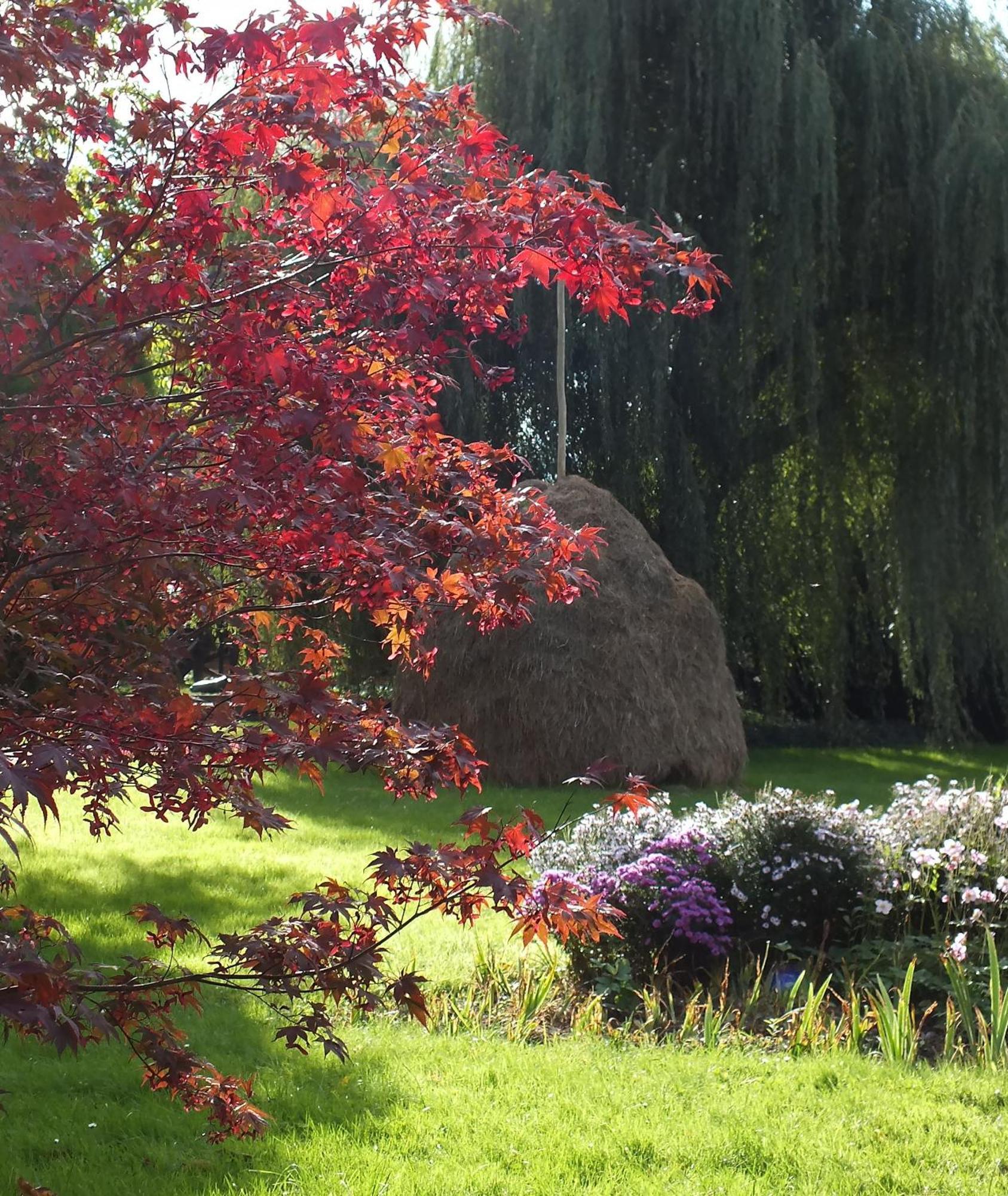 Hotel Nordic Spreewald Luebbenau Luaran gambar